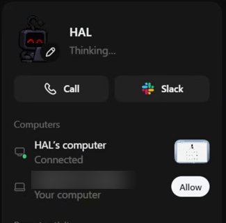 A dot's profile. Under Computers there are two rows: the dot's own computer, Connected, and a second row labeled Your computer with an Allow button