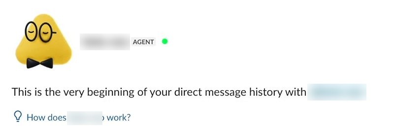 The top of a direct message in Slack with a dot. Its handle is blurred, with an AGENT badge and a green presence dot beside it. Under it: This is the very beginning of your direct message history with the dot